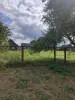 Продам дачу на хуторе деревня Халаимовщина