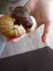 Улитки