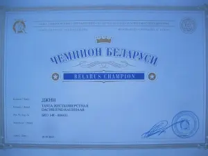 Щенки жесткошерстной таксы