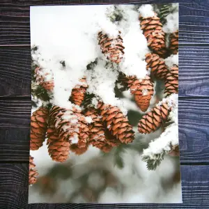 Холст, печать – зима, 30/40