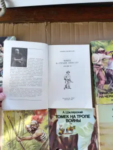 Книги. Приключения Томека.