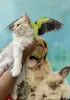 Красавчик Беня очень ждет свою семью!
