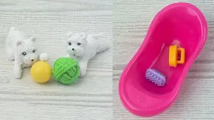Игровой набор "Steffi Love" Штеффи-ветеринар, Simba