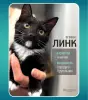 Линк - ласковый и игривый котенок