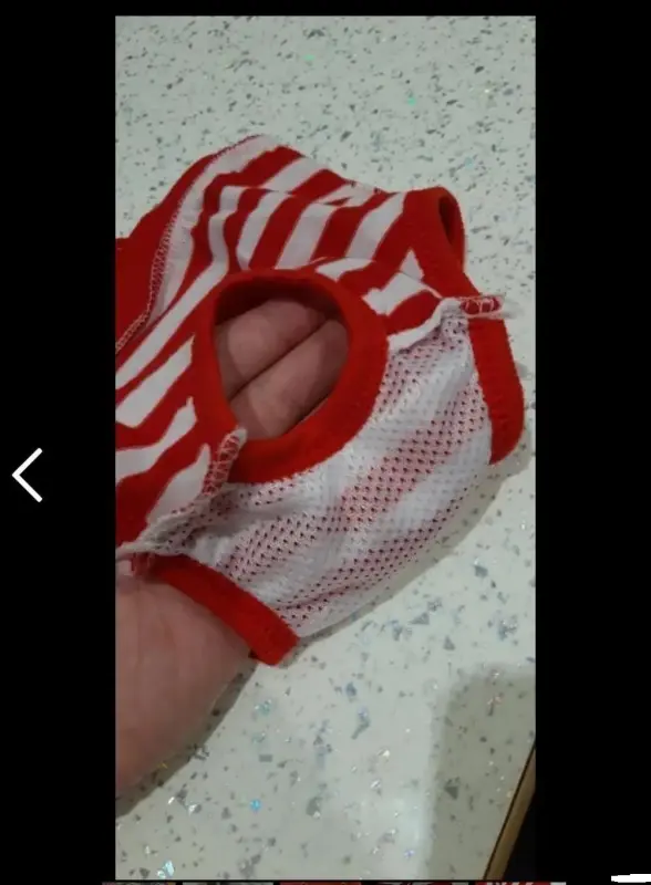 Гигиенические трусы для собак