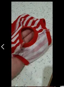 Гигиенические трусы для собак
