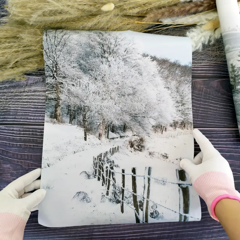 Холст, печать – зима, 30/40