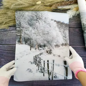 Холст, печать – зима, 30/40