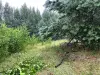 Продается участок