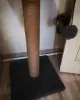 Когтеточка