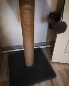 Когтеточка