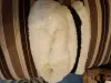 Снуд