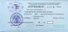 Репетитор по русскому языку в Лошице