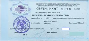 Репетитор по русскому языку в Лошице