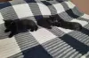 Британские котята редкого окраса