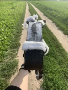 Лошадка на палке ХоббиХорс