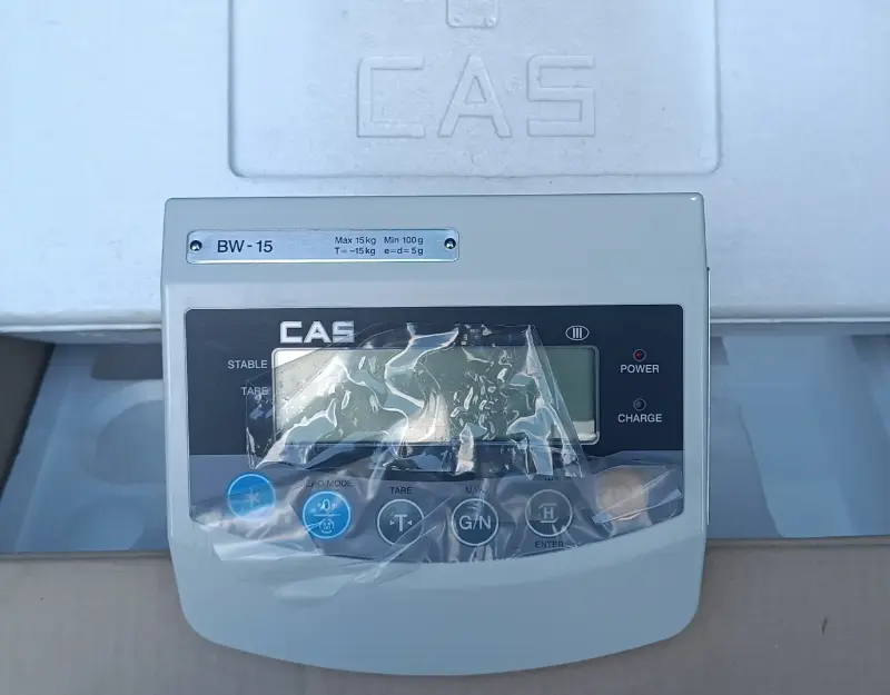 Напольные весы CAS BW-15R.