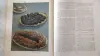 Книга 'Кулинария' повару в помощь (1303 рецепта)