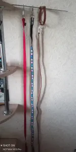 Поводки