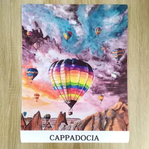 Принты на холсте 30/40.