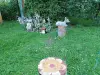 Хвойные, кустарники, лилейники