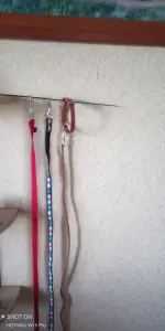 Поводки