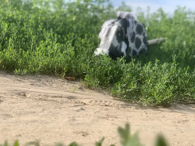 Лошадка на палке ХоббиХорс