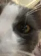 Анна_m