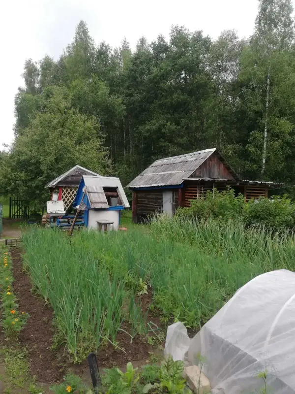 Дача  деревня Подозерцы
