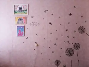 3-х комн квартира в Дрибине