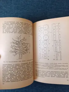 Книга. Советы по домоводству и Плодовый сад