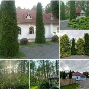 Уютное кафе в живописном месте недалеко от Могилева