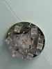 Люстра