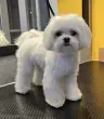 user_64821