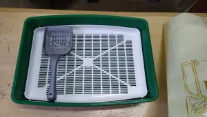 Лоток