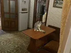 Дом  Орша