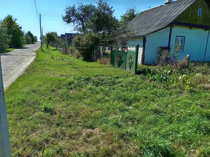 Дом в деревне Тобулки, Пинский район