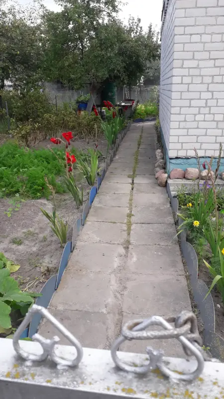 Продажа земельных участков - Дачный участок СТ Родничок-КЭТИ - Уваровичи - Фото 2 Дачный участок СТ Родничок-КЭТИ - Уваровичи - 215913 - Доска объявлений Kupika.by - Фото 2