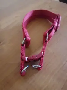 Ошейники