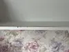 Набор мебель Салерно