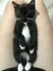 Два  маленьких братика в добрые руки