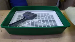 Лоток