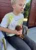 Элитные мини и микро мальтипу