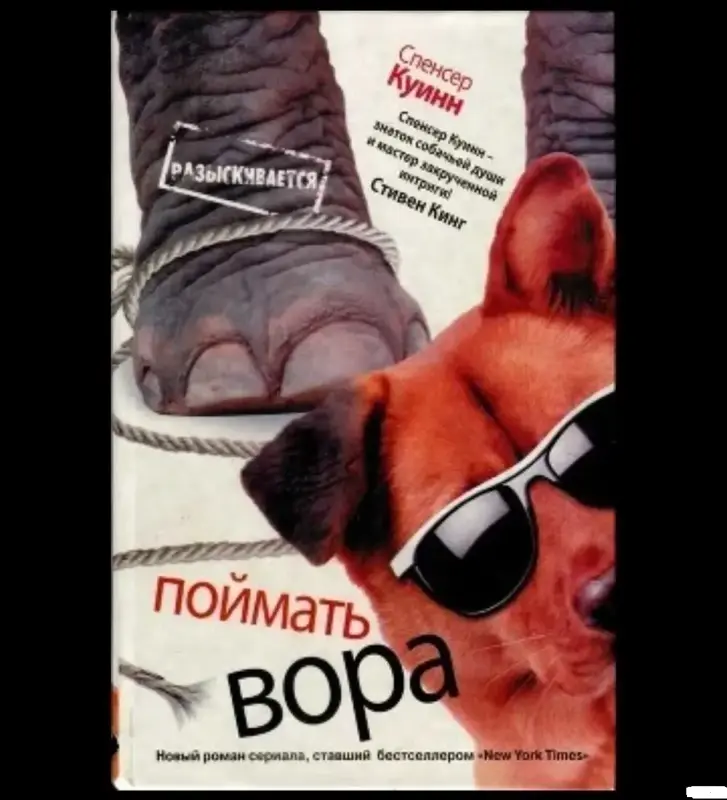 Поймать вора. Книга