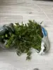 Овощи