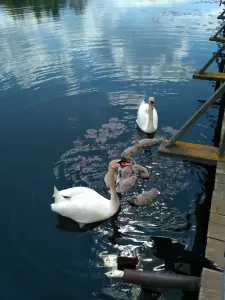 Дом на берегу озера. деревня Богдановка