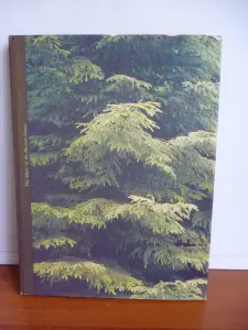 Фото альбомы