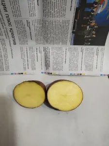 Картофель