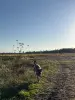Девочка 3,5 месяца даром
