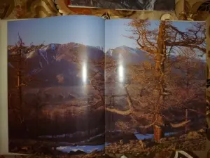Фото альбомы